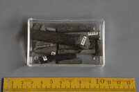 F 02366
<br/>
<br/>
<em></em>